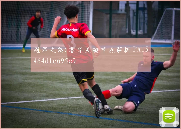 冠军之路:赛季关键节点解析 PA15464d1c695c9
