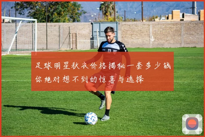 足球明星秋衣价格揭秘一套多少钱你绝对想不到的惊喜与选择
