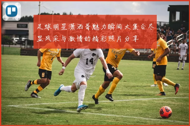 足球明星潇洒哥魅力瞬间大集合尽显风采与激情的精彩照片分享