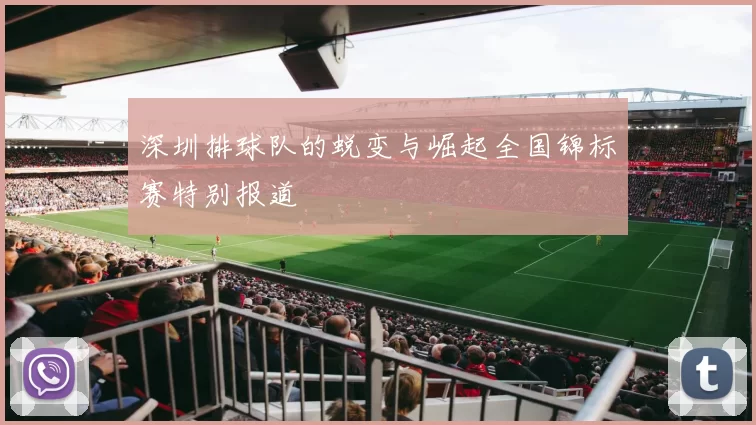 深圳排球队的蜕变与崛起全国锦标赛特别报道