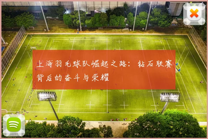 上海羽毛球队崛起之路：钻石联赛背后的奋斗与荣耀